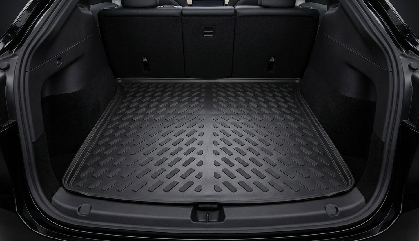 TESLA MODEL Y (2019-2024)